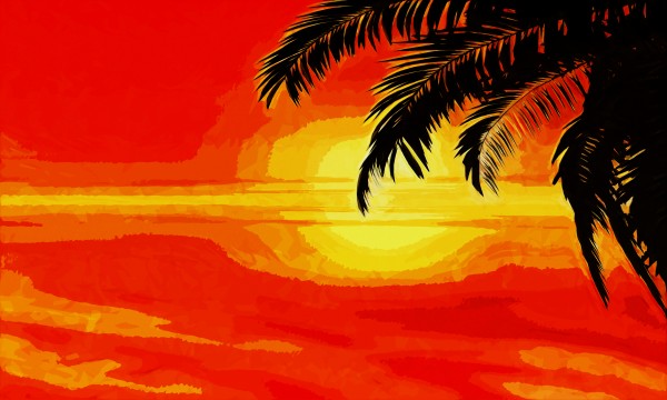  sunset under the Palm trees by Dagmar Marina